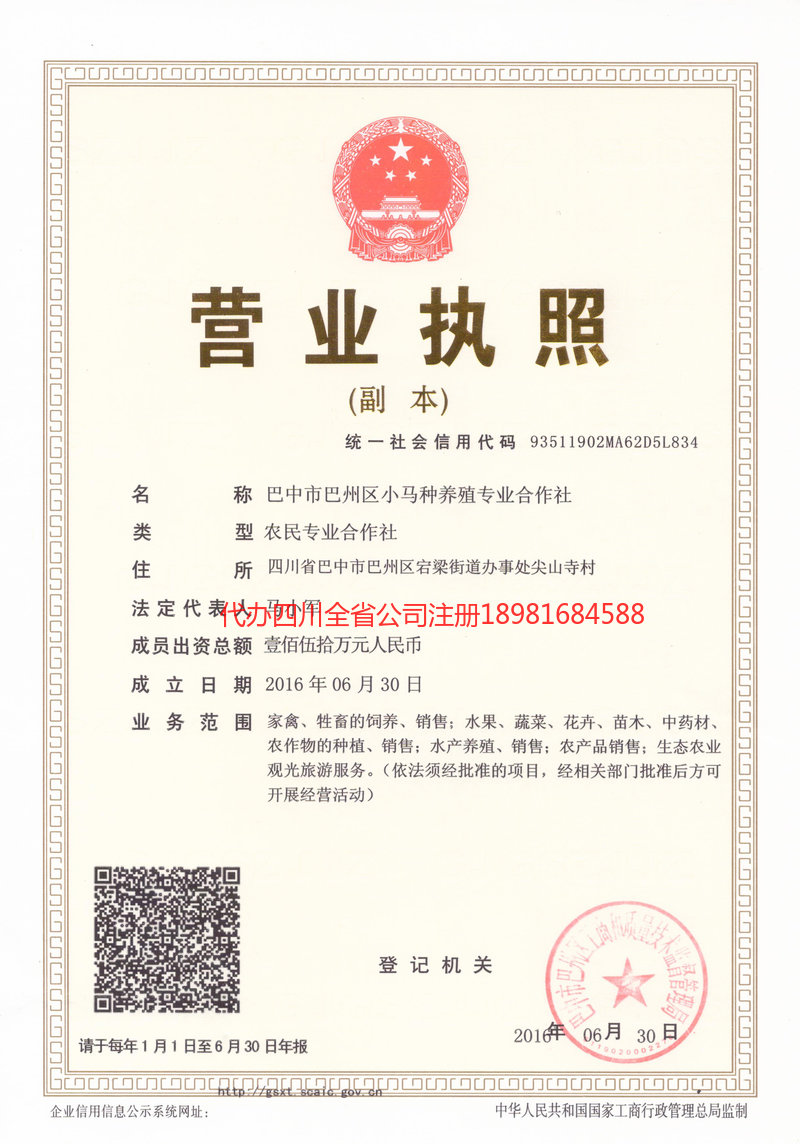 拉萨拉萨小马种养殖专业合作社